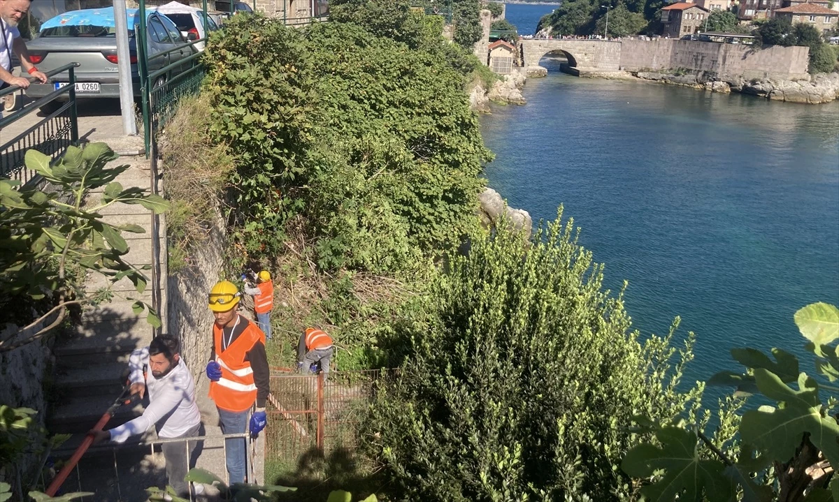 Amasra Kalesi'nde Taşları Düşüren Ağaçların Köklerine Temizlik Çalışması