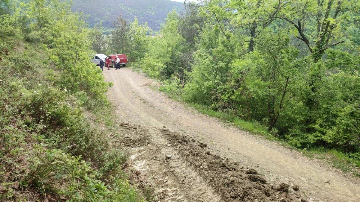 Bartın'da Orman Yolunda İş Makinesi Devrildi, Operatör Ağır Yaralandı