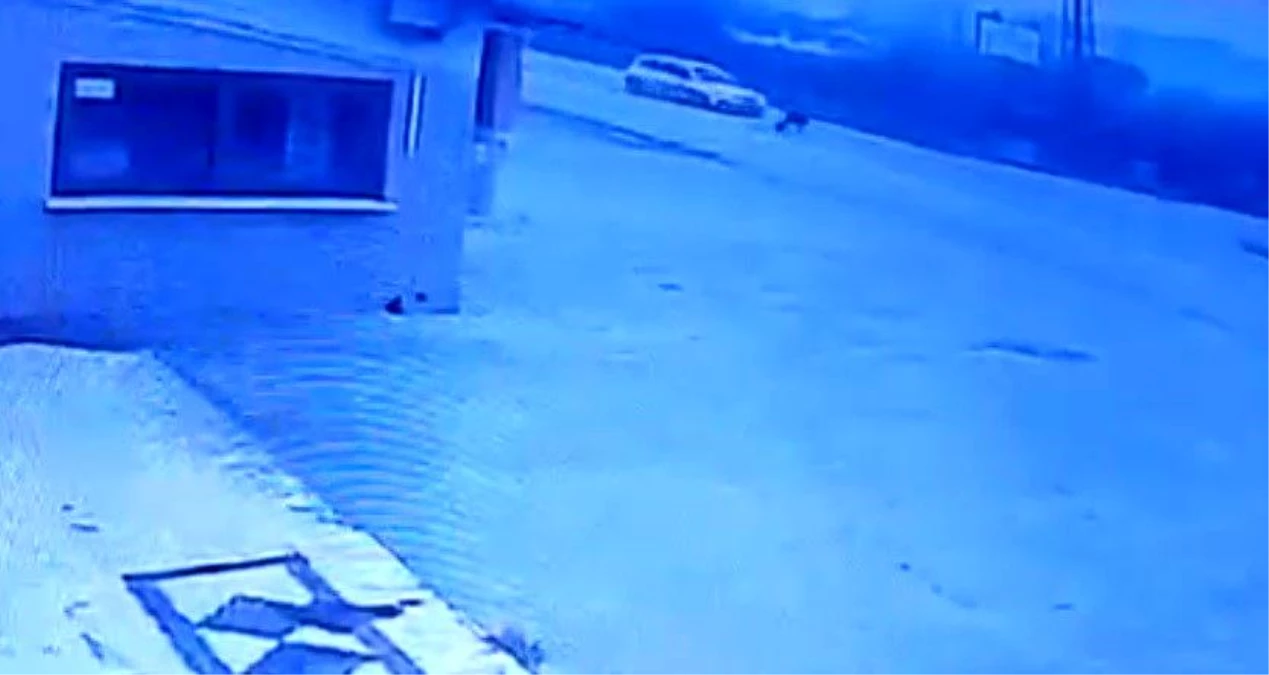 Bartın'da Otomobilin Çarptığı Kadın Hayatını Kaybetti