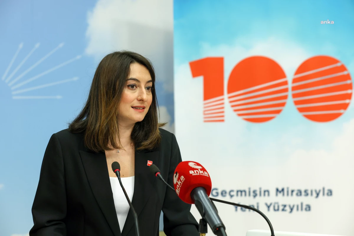 CHP Milletvekili Aysu Bankoğlu: Amasra'da Termik Santrale İzin Vermeyeceğiz