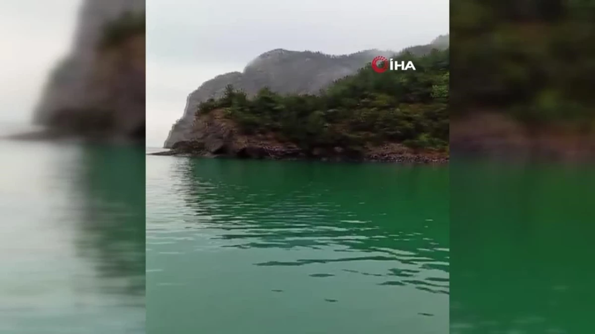 Karadeniz'de şüpheli cisim alarmı