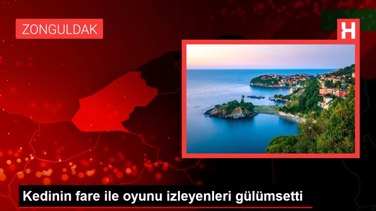 Kedinin fare ile oyunu izleyenleri gülümsetti