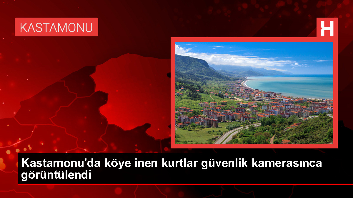 Köye İnen Kurtlar Güvenlik Kamerasına Yakalandı