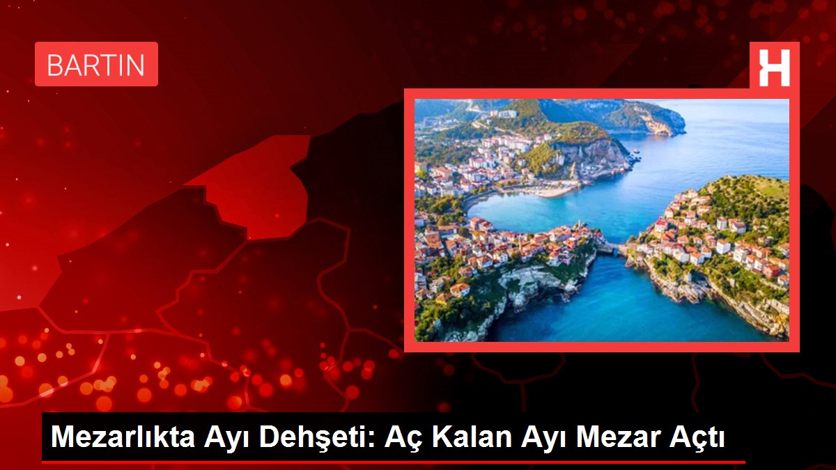 Mezarlıkta Ayı Dehşeti: Aç Kalan Ayı Mezar Açtı