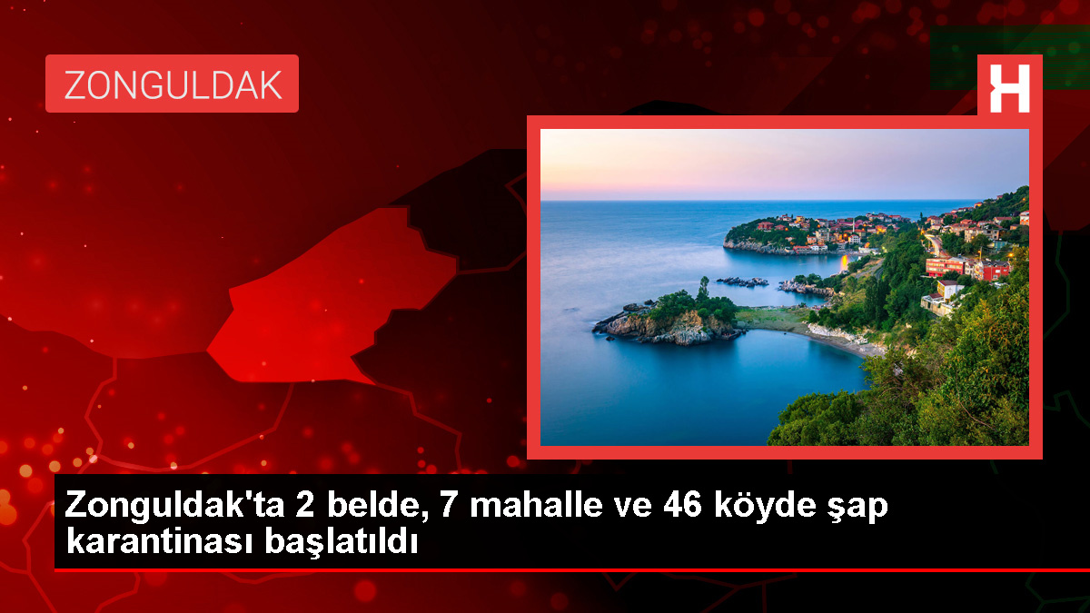 Zonguldak'ta Şap Hastalığı Nedeniyle Hayvan Giriş Çıkışları Kısıtlandı